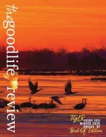 Issue #22 Winter 2026