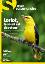 LA SALAMANDRE n°293