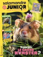 SALAMANDRE JUNIOR n°165