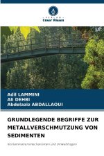 GRUNDLEGENDE BEGRIFFE ZUR METALLVERSCHMUTZUNG VON SEDIMENTEN