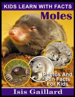 Moles