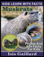 Muskrats