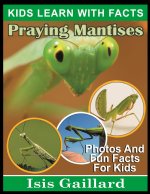 Praying Mantises