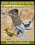 Roadrunners