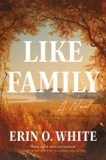 LIKE FAMILY
