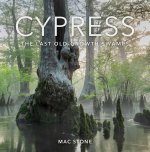 Cypress – The Last Old–Growth Swamps