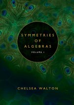 Symmetries of Algebras (Volume 1)