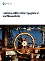 Institutional Investor Engagement and Stewardship