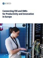Connecting FDI and SMEs for Productivity and Innovation in Europe