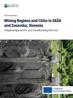 Mining Regions and Cities in SAŠA and Zasavska, Slovenia