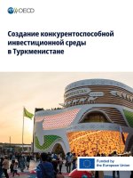 Создание конкурентоспособной инвестиционной среды в Туркменистане