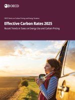 Effective Carbon Rates 2025