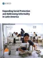 Expanding Social Protection and Addressing Informality in Latin America