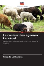 La couleur des agneaux karakoul