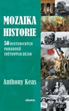 Mozaika historie - 50 historických paradoxů světových dějin