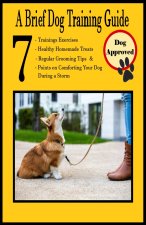 A Brief Dog Training Guide