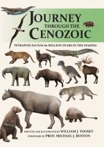 Journey through the Cenozoic
