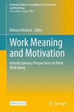 Work Meaning and Motivation