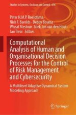 Computational Analysis of Human and Organisational Decision Processes for the Control of Risk Management and Cybersecurity