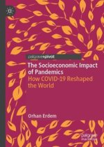 The Socioeconomic Impact of Pandemics