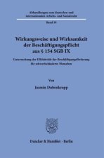 Wirkungsweise und Wirksamkeit der Beschäftigungspflicht aus § 154 SGB IX