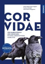 Corvidae