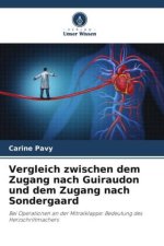 Vergleich zwischen dem Zugang nach Guiraudon und dem Zugang nach Sondergaard