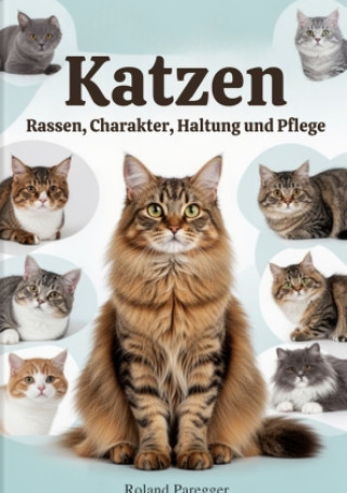 Katzen