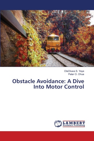 Obstacle Avoidance