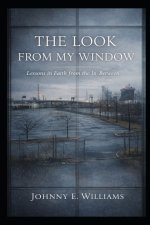 The Look From My Window