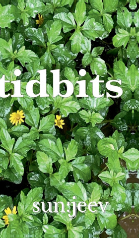 tidbits