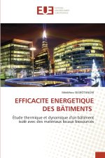 EFFICACITE ENERGETIQUE DES BÄTIMENTS