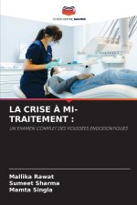 LA CRISE À MI-TRAITEMENT