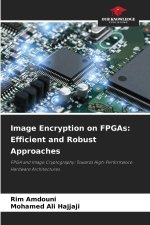 Image Encryption on FPGAs