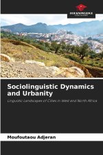 Sociolinguistic Dynamics and Urbanity
