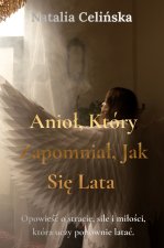 Anioł, który zapomniał, jak się lata
