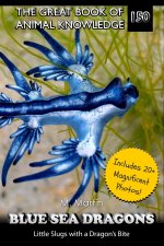 Blue Sea Dragons
