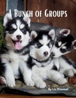 A Bunch of Groups