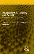 Development, Technology and Flexibility