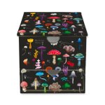Anna Stead: Mushrooms & Fungi Memo Box with Drawer