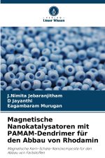 Magnetische Nanokatalysatoren mit PAMAM-Dendrimer für den Abbau von Rhodamin