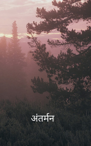 अंतर्मन मनोभाव की गूंज