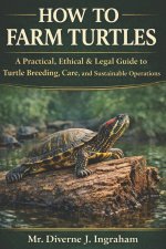 HOW TO FARM TURTLES