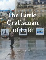 The Little Craftsman of Life