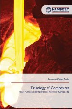 Tribology of Composites