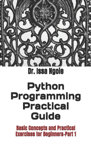 Python Programming Practical Guide