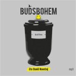 Buďsbohem - CDmp3 (Čte David Novotný)