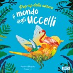 mondo degli uccelli. Pop-up della natura
