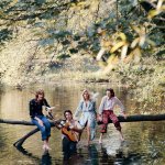 Mccartney Paul:  Wild Life