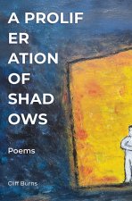 A Proliferation of Shadows